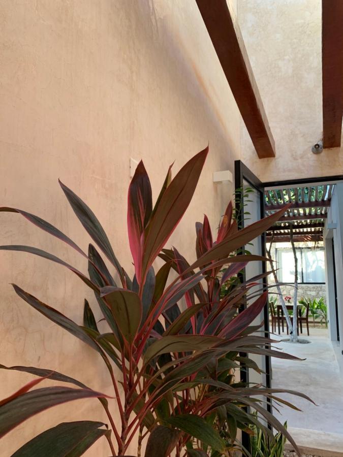 Pina Coloradas Ecolodge Yuluc Ngoại thất bức ảnh